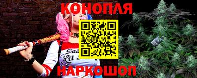 PSILOCYBIN Бугуруслан