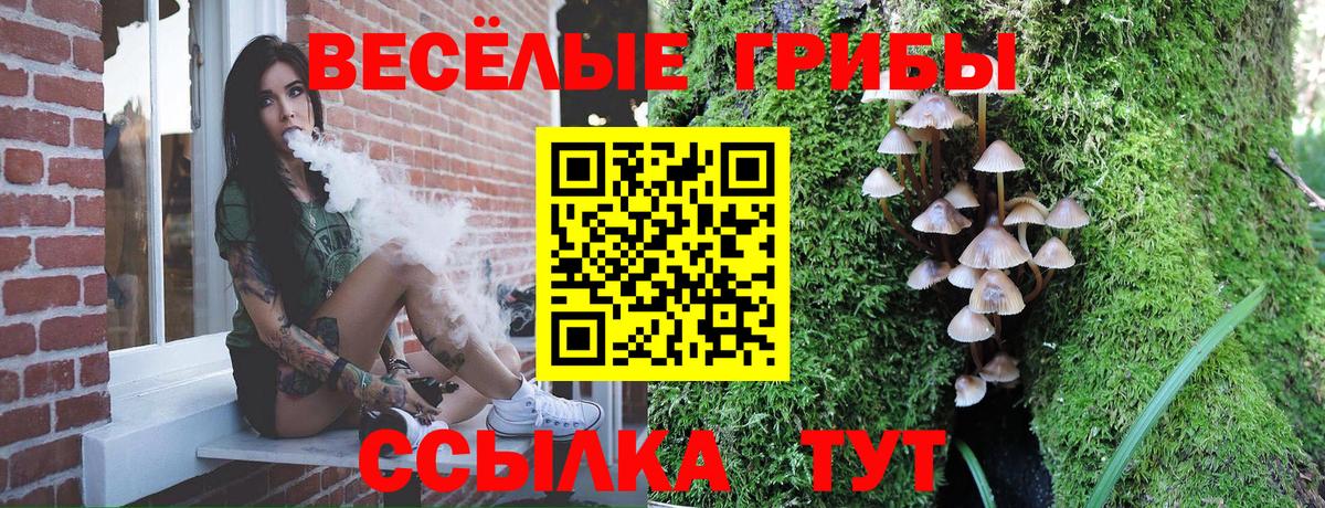 Галлюциногенные грибы GOLDEN TEACHER Первоуральск